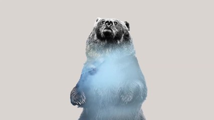 Wall Mural - Minimal stile double exposure with a bear and forest