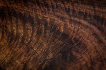 Sticker - Walnut natural texture, texture elements, texture background.	wood texture background.