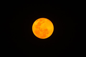  yellow supermoon  on a black sky