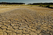 Cracked dry earth in the place of a felled forest. Environmental problems.