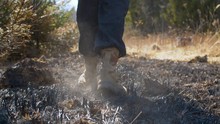 Close Up Man's Feet In Trekking Boots Walking In The Place Of An Extinct Forest Fire. Burned Grass, Ashes Rise From Steps. Early Spring, Sunny Weather.