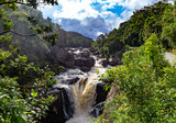 Fototapeta Sawanna - A boiling river with a waterfall in the rainforest