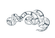 Snake Sketch Vector Japanese Chinese Design Isolated Elements
