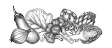 Graphic Illustration Of A Vegetable Border, Hand-drawn. Design For Print Recipe, Restaurant Menu, Cookbook, Poster, Postcard, Fabric, Dishes, Ceramic Tiles.