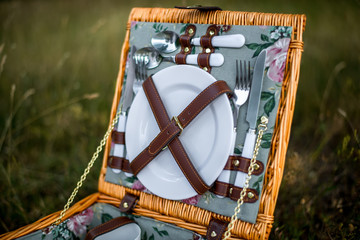 family picnic
