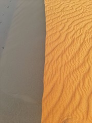 Canvas Print - sand dune in desert of Algeria