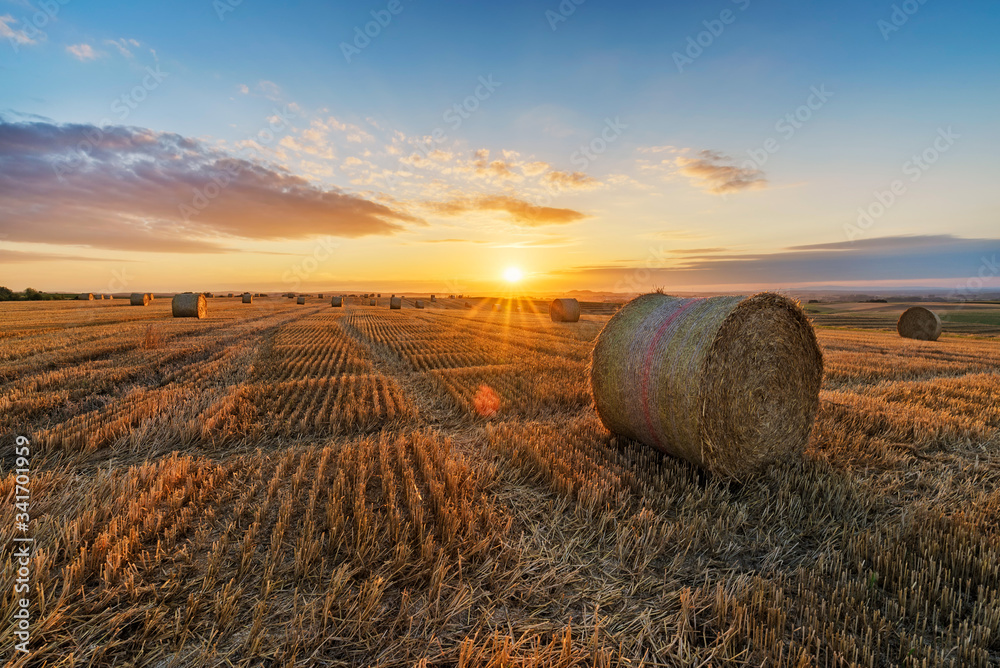 Hay Bales On Field Against Sky During Sunset - obrazy, fototapety, plakaty 