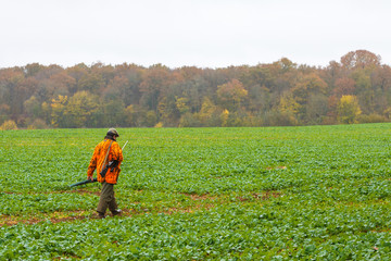 Hunter man with shotgun dressed in orange camouflage clothing in the autumn forest