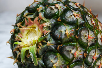 Green ripe pineapple that looks delicious