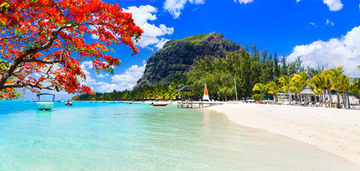 Poster - Best tropical destination - paradise island Mauritius and best beach Le Morne