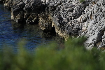 Wall Mural - rocks sea and grass