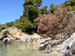 Wall Mural - rocky coast of the sea