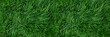 Leinwandbild Motiv Natural green grass background, fresh lawn top view