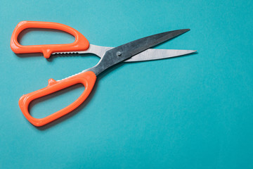 Wall Mural - metal scissors with an orange handle on a blue background laid neatly close