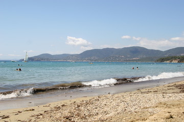 Wall Mural - beach and sea