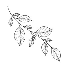 Wall Mural - Hand drawing branch for greeting card, invitation, Henna drawing and tattoo template. Vector illustration