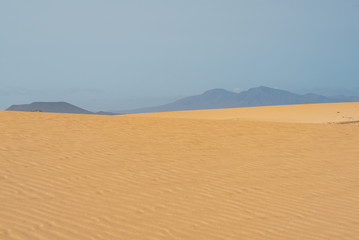 the sand desert dunes