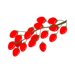 A branch of red cherry tomatoes isolated on a white background. Vector illustration in the cartoon style.