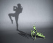 Concept of hidden potential. A paper mantis figure casting a shadow of a Thai boxer. 3D illustration