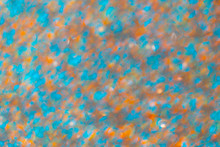 Abstract Shiny Colored Sparkles Background With Blur Bokeh.
