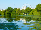 Fototapeta Londyn - view from park