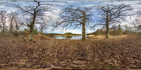 Wall Mural - full seamless spherical hdri panorama 360 degrees angle view on pedestrian walking path among oak grove with clumsy branches near lake in equirectangular projection with , ready VR AR content