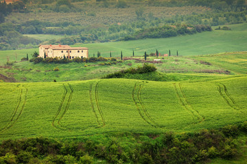 Wall Mural - Summer landscape in Tuscany, Italy, Europe