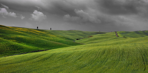 Wall Mural - Summer stormy landscape of Tuscany, Italy