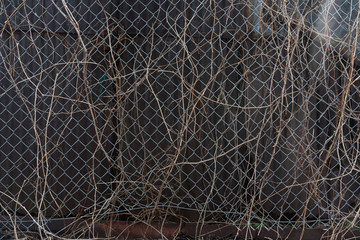 rusty wire fence with branches