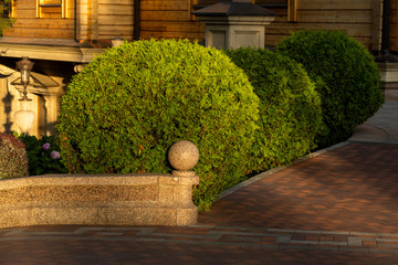 Wall Mural - round flowerbed balls in landscaping