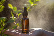 Herbs for alternative medicine, natural cosmetics.