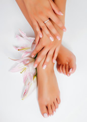  manicure pedicure with flower lily closeup isolated on white perfect shape hands spa salon