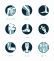 Wall Mural - Anatomy Icon Rehabilitation Spine Neck Elbow Wrist Heel Hip Foot Knee Shoulder