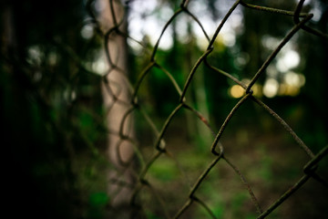 Rusty fence near the house