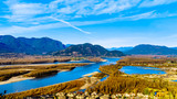 Fototapeta Las - The Fraser River as it flows though the  Coast Mountain range past the town of Chilliwack in the Fraser Valley of British Columbia, Canada