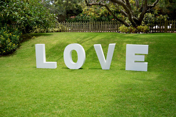 Word love with grass background