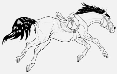 Wall Mural - Running horse equipped for show jumping practice. Steed wears sport saddle, English bridle and splint boots.  Stallion gallops with legs stretched out. Vector linear clip art for equestrian clubs.