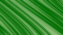 Green Abstract Background With White And Green Lines