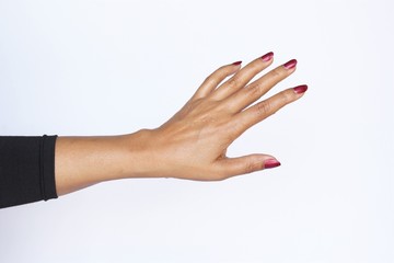 Wet back side of woman hand red nail polish wearing black long sleeve t-shirt. photo isolate on white copy space