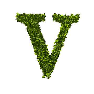 Letter V nature leaf alphabet. 3D Rendering