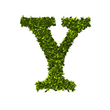 Letter Y nature leaf alphabet. 3D Rendering