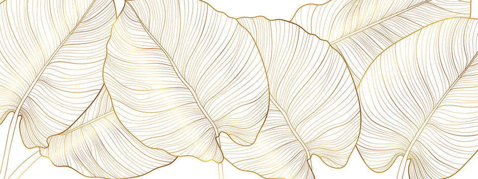 luxury gold nature background vector. floral pattern, golden split-leaf philodendron plant with mons