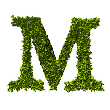 Letter M nature leaf alphabet. 3D Rendering