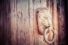 Lions Head Door Knocker