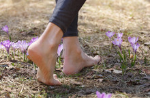 Beautiful Barefoot Female Legs Walking On Grass. Grounding And Earthing Techniques Concept