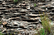 Background In The Form Of A Rock With Oblong Fragments Of Dark Gray Shades And Grass Sprouts