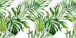 Watercolor tropical seamless pattern. Diagonal stripes in repeat. Exotic palm leaves, monstera, coconut isolated on white. Botanical hand drawn background for surface, textile, wallpaper design