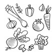  Doodle sketch vegetables, simple linear illustration of vegetables 