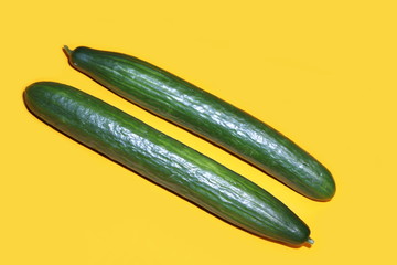 two whole long ripe green Cucumbers isolated on yellow background. 2 objects of cucumber