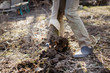 Caucasian man with shovel digs ground in garden